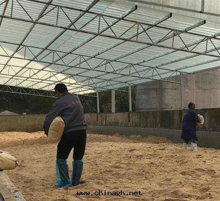 江西省(shěng)德興市(shì)的(de)第(dì)一(yī)个(gè)生(shēng)物(wù)降解(jiě)堆(duī)示範點(diǎn)正(zhèng)式運營