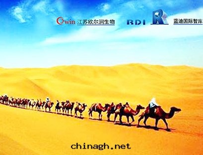 更多(duō)新(xīn)聞